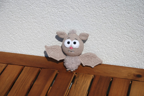 Netopýrek — foto 3