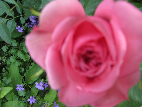 Náušnice PINK — foto 3