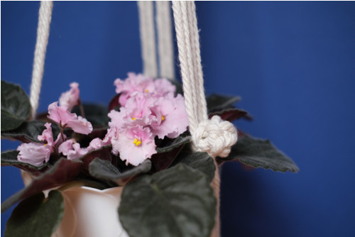 Macrame závěs na květináč — foto 3