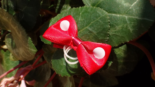 Mini mašlička — foto 4