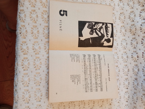 K táborovému ohni — foto 6
