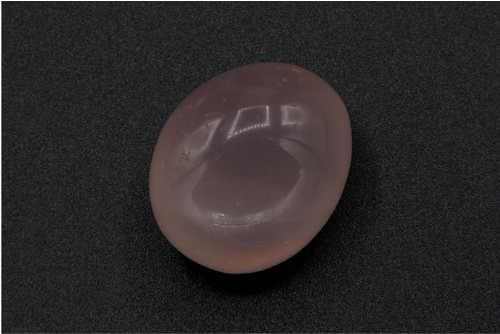 Růženín Asterický 2,9 cm — foto 2