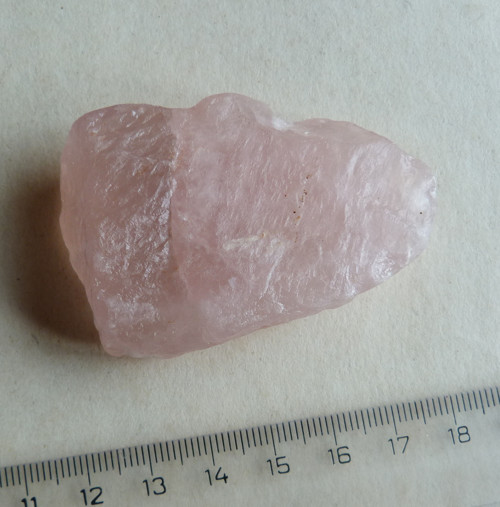 Růženín surový - 6 cm — foto 5
