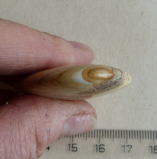 Srdce - Jaspis obrázkový - 4 cm - Extra — foto 5