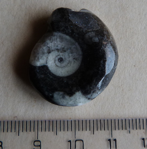 Goantit - 2,7 cm — foto 3