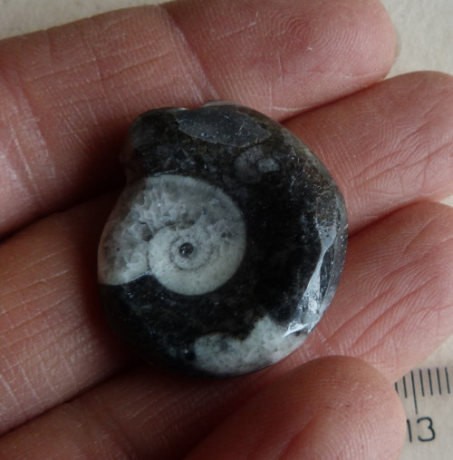 Goantit - 2,7 cm — foto 2