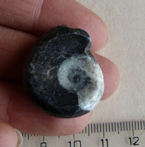 Goantit - 2,7 cm — foto 2