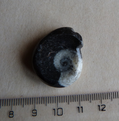Goantit - 2,7 cm — foto 3