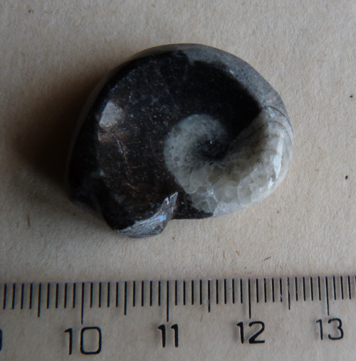 Goantit - 2,7 cm — foto 5