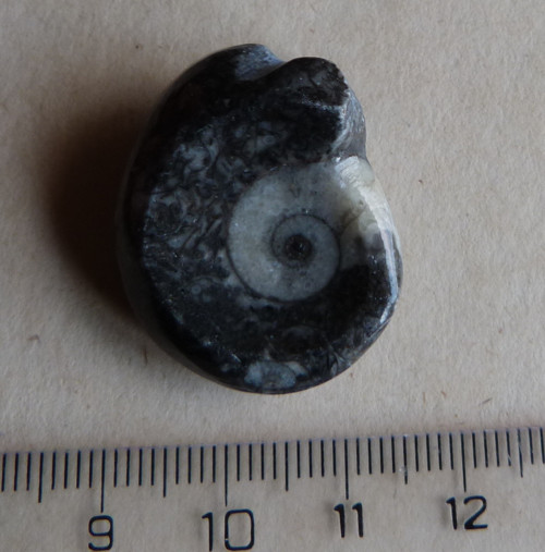 Goantit - 2,7 cm — foto 4