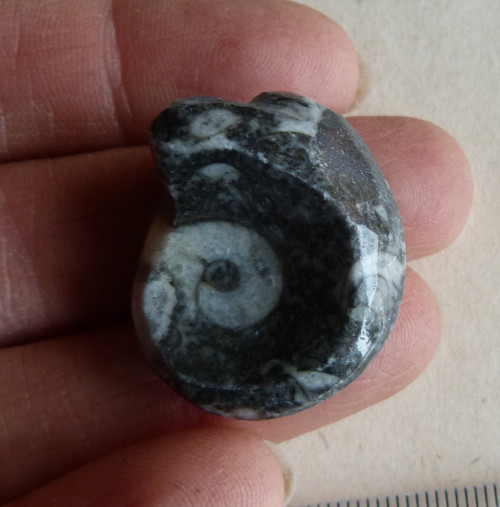 Goantit - 2,7 cm — foto 5