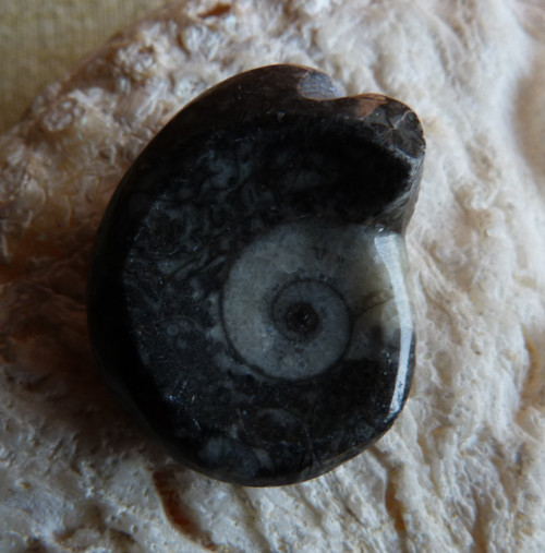 Goantit - 2,7 cm — foto 3