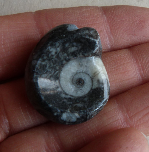 Goantit - 2,7 cm — foto 2