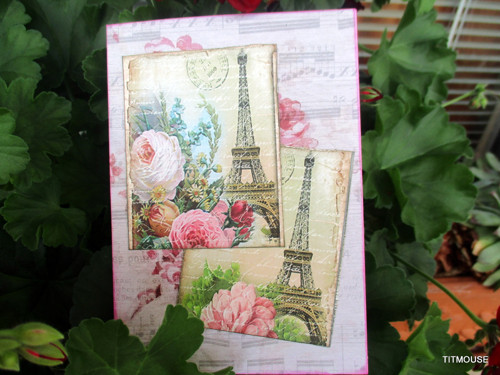 La vie en rose — foto 4