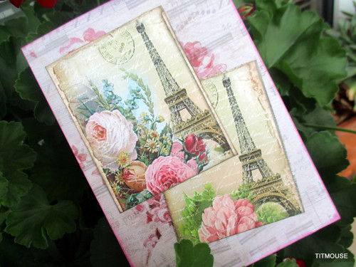 La vie en rose — foto 2