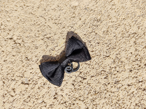 Mini mašlička — foto 3