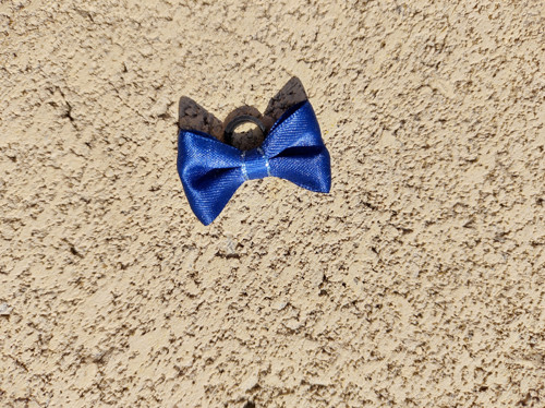 Mini mašlička — foto 3