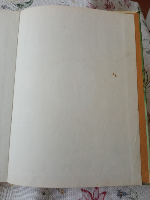 Střídá se kapitán - Bohumil Říha — foto 2