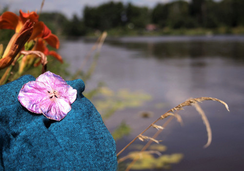 Brož Hortenzie z Polabí — foto 5