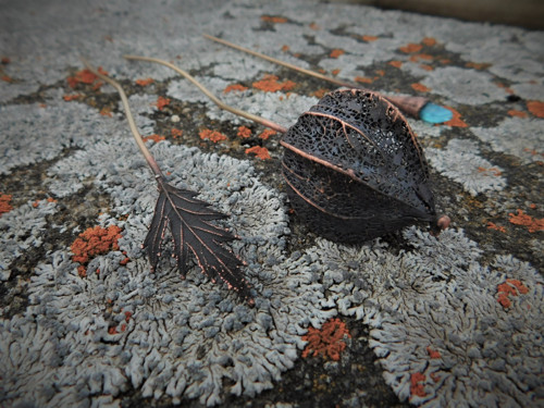 Mochyně...3 jehlice — foto 4