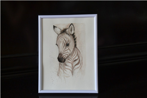 Malá zebra — foto 3