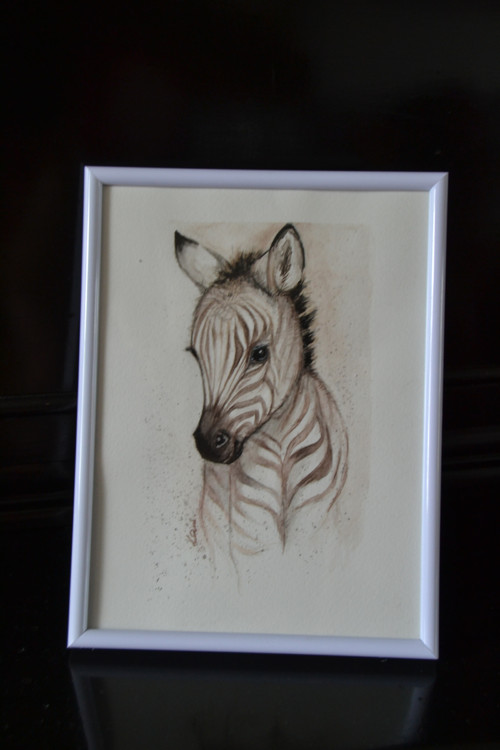 Malá zebra — foto 2