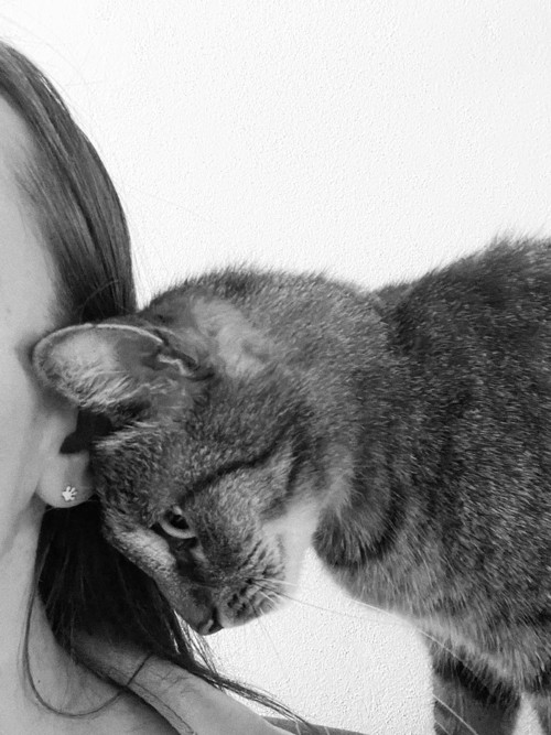 Náušnice tlapky — foto 4