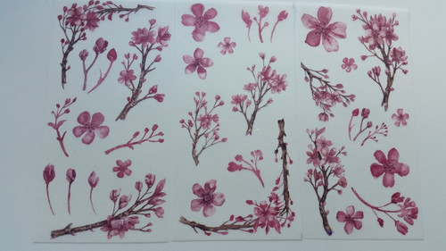 Samolepky - Sakura. — foto 2