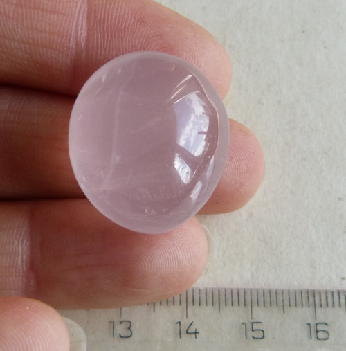 Růženín asterický - 2,2 cm (RA7) — foto 2