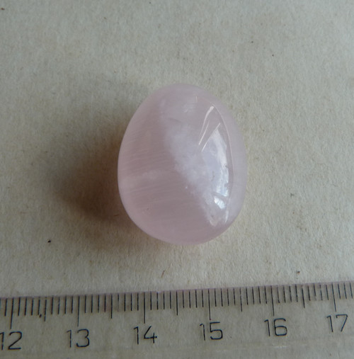 Růženín asterický - 2,7 cm (RA8) — foto 5