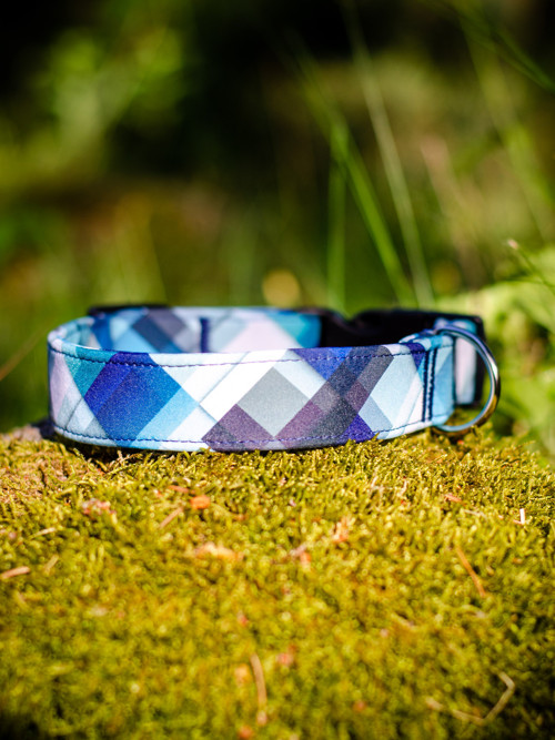 Obojek SOFT - blue 2,5 cm — foto 4