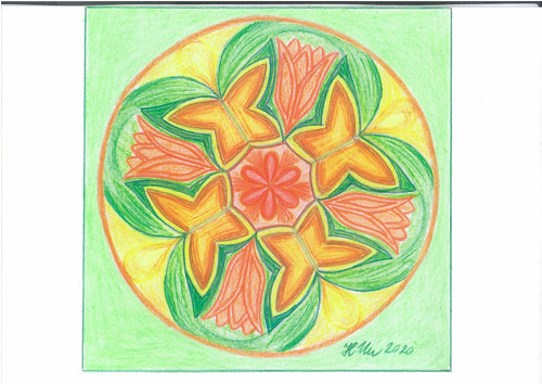 Mandala-Motýlí křídla — foto 4