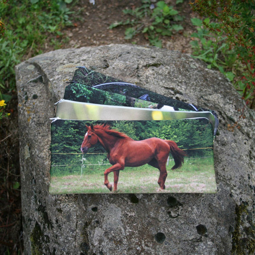 PENÁL Pandy — foto 2