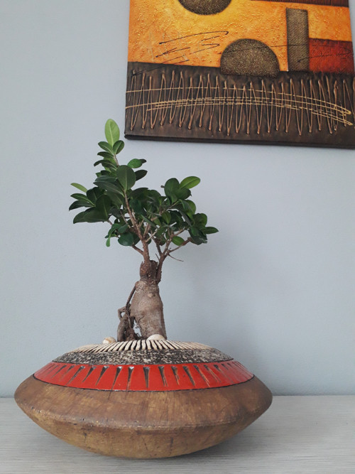 "ČOČKA" prům. 33 cm — foto 3