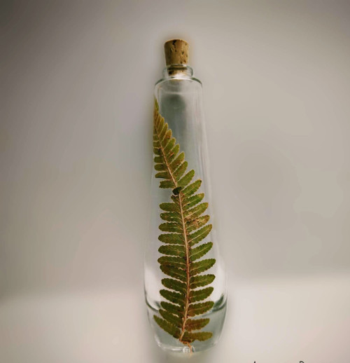 Lahvičk k dotvoření 50ml — foto 2