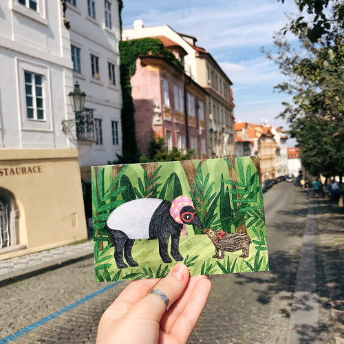Pohlednice Tapíři — foto 2