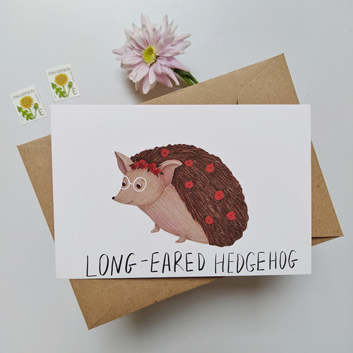 Pohlednice Long-eared Hedgehog — foto 4