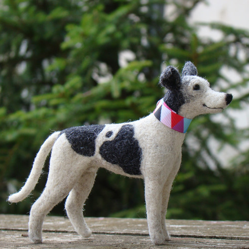 Se psem na výlet (greyhound) — foto 3