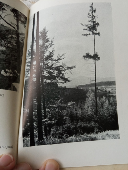 Českokrumlovsko — foto 6
