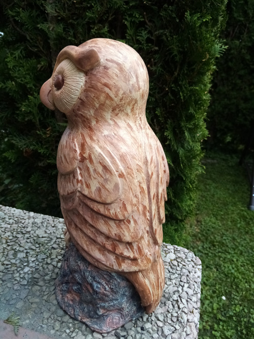 Sova skalní — foto 2