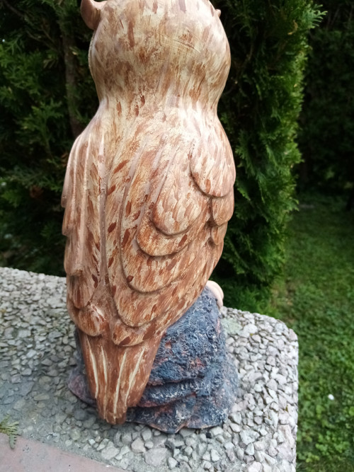 Sova skalní — foto 4
