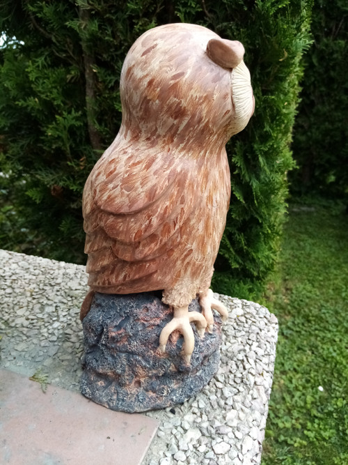 Sova skalní — foto 3