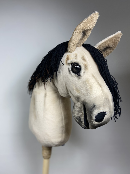 Kůň Kinský - HOBBY HORSE — foto 2