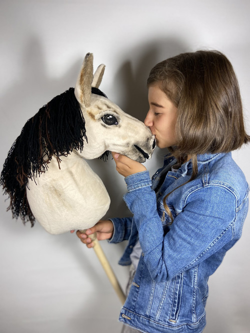 Kůň Kinský - HOBBY HORSE — foto 6