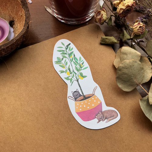 Samolepka Citronovník — foto 3