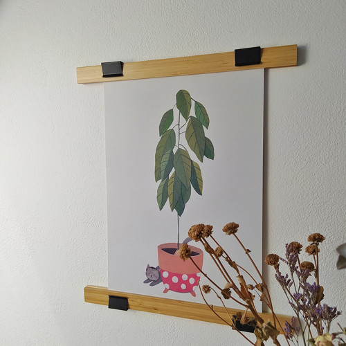 Plakát Avokádo A3 — foto 4