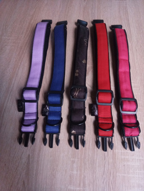 Obojky různých barev — foto 2