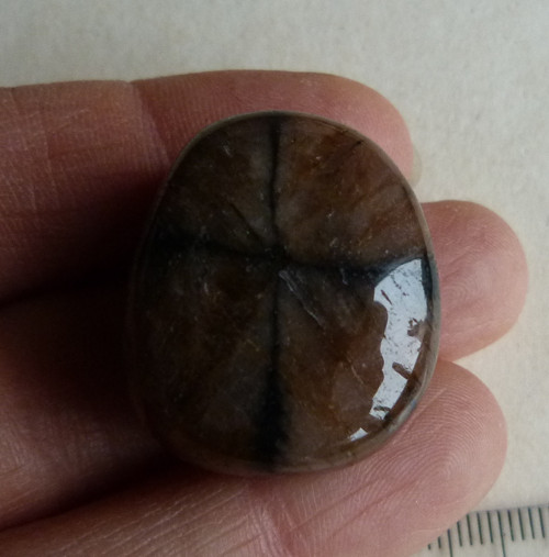 Chiastolit - 2,8 cm - Extra — foto 3