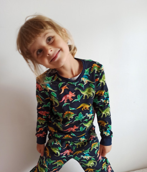 Mikina dinosaurová — foto 2