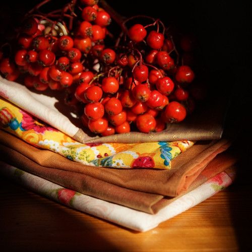Na houby - 5 pytlíků na zero waste — foto 4